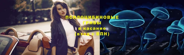 скорость mdpv Белокуриха